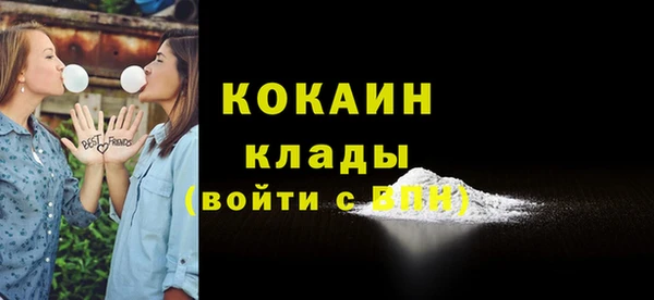 СК Пересвет