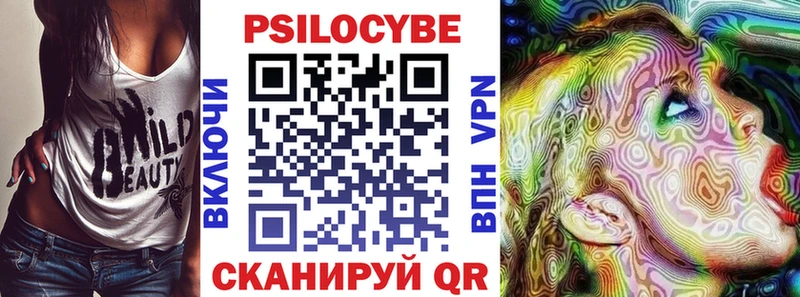 Галлюциногенные грибы Psilocybe Змеиногорск